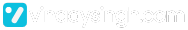 VinaaySingh.com